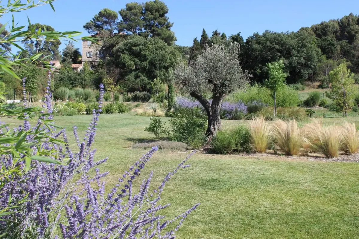 Conception 3D : Aménagement de cuisine d'été avec pergola et terrasse à Muret